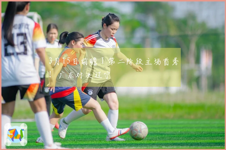 3月15日前瞻 I 第二阶段主场首秀！广东对决辽宁
